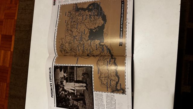 Guía Coleccionista Red Dead Redemption 2