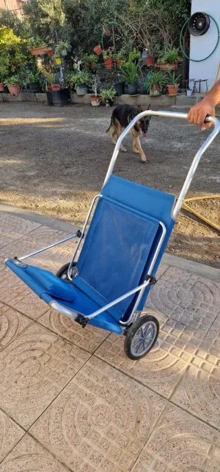 Tumbona y Carrito Playa Azul