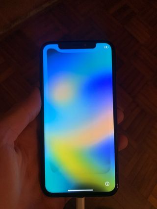 iPhone X