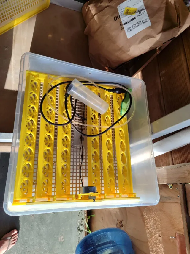 Incubadora automática.