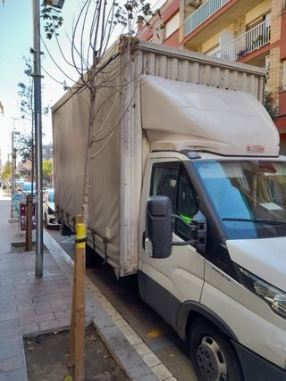 iveco daily camion carrozado