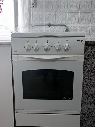 Cocina y horno de gas butano Fagor