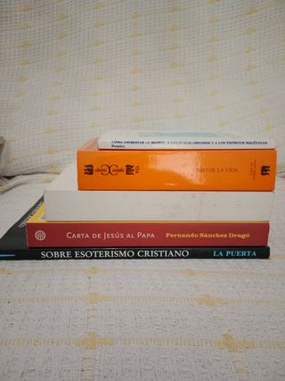 Lote libros 1