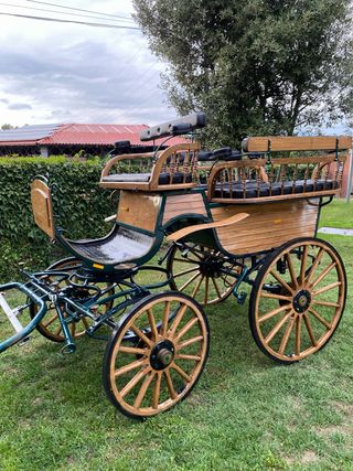 Carruaje / Calesa de caballos