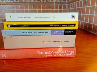 Lote libros 4