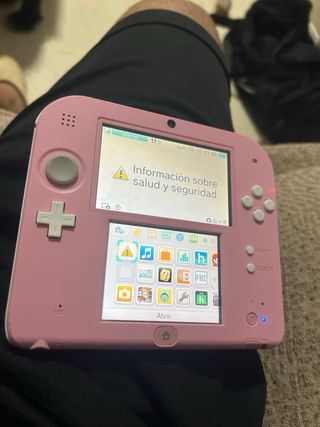 Nintendo 2DS Rosa