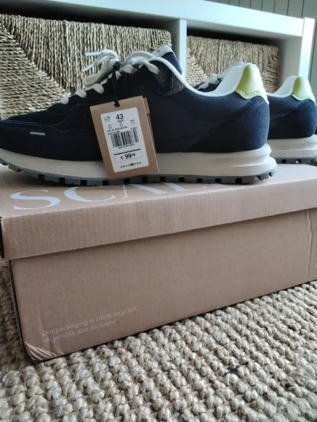 Zapatillas Scalpers Azul/Verde Talla 43