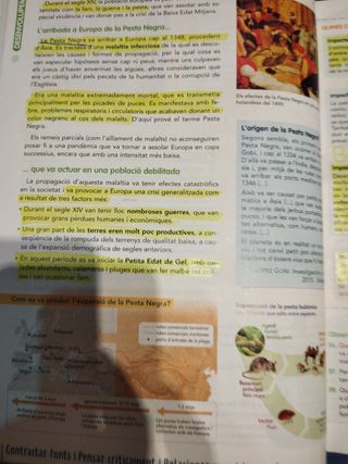 GEOGRAFIA I HISTORIA 2 (COMUNITAT EN XARXA)