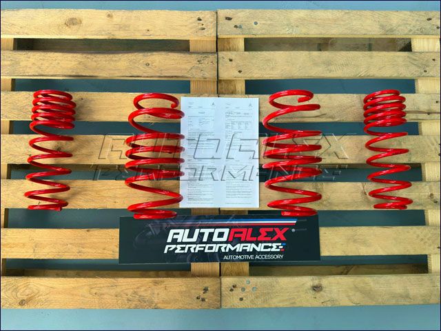Muelles Seat Ibiza 30/30MM