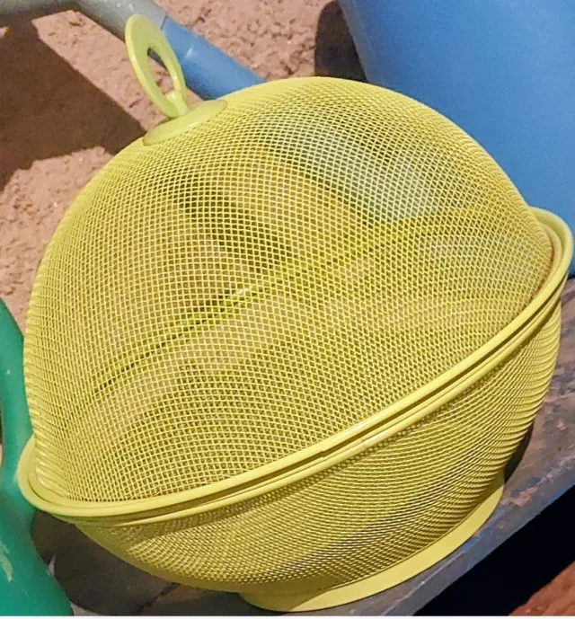 Quesera redonda color verde