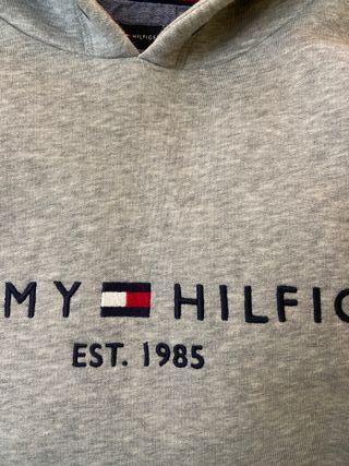 Sudadera Tommy Hilfiger con capucha