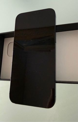 iPhone 12 Pro Max 256GB
