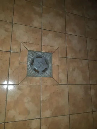 Hg
