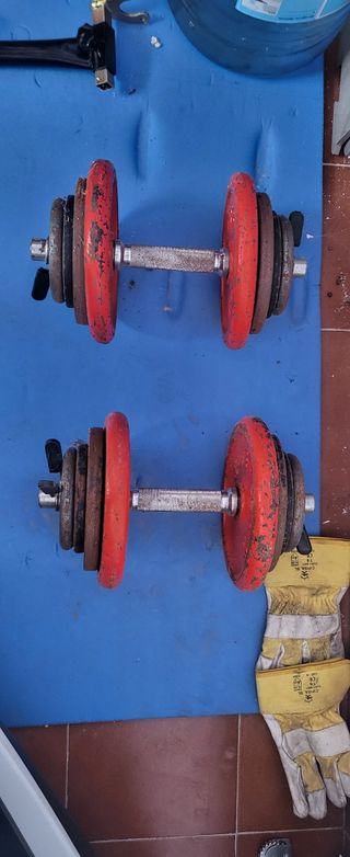 Mancuernas y discos de pesas.