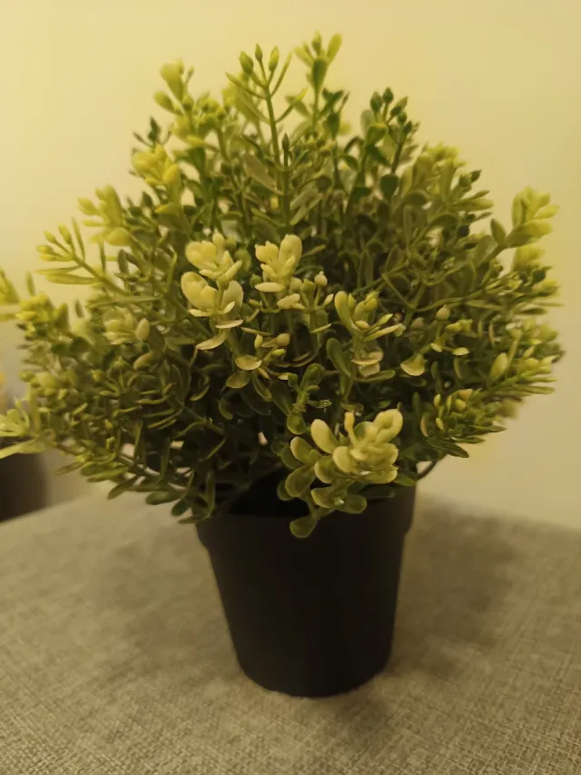 Planta Artificial Tomillo IKEA