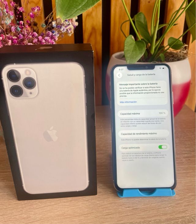 iPhone 11 Pro Max 64 GB argento