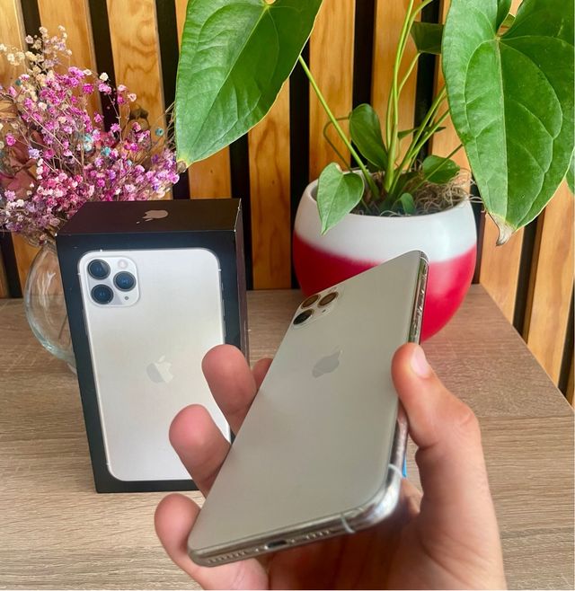 iPhone 11 Pro Max 64 GB argento