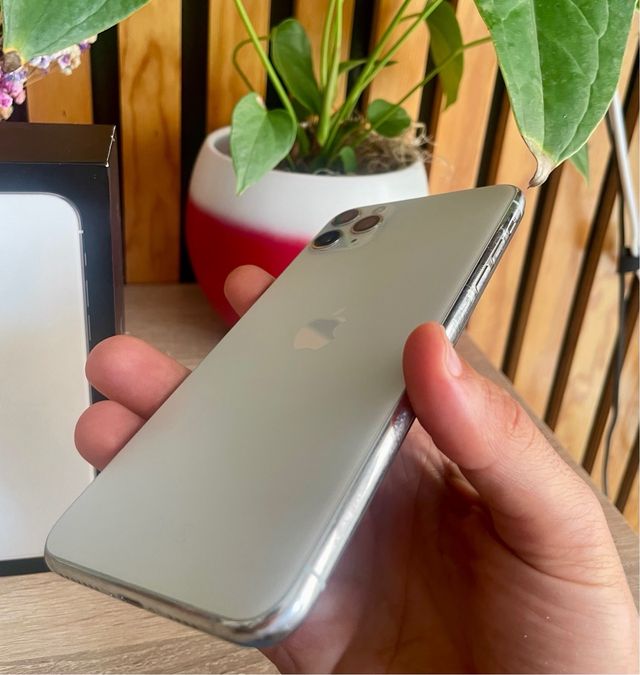 iPhone 11 Pro Max 64 GB argento