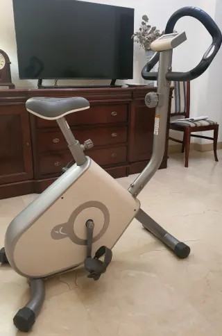 Bicicleta Estática Gris y Blanca