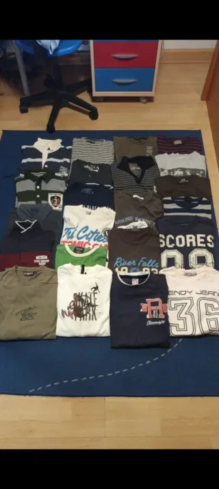 Lote Ropa Hombre Talla L: 22 Camisetas y Polos