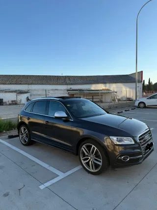 Audi SQ5 2014