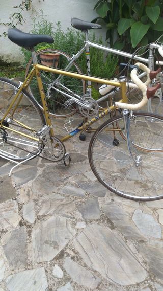 Bicicleta Olmo Columbus Zeus