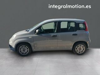 Fiat Panda Panda Hybrid 1.0 Gse 51kw (70CV)