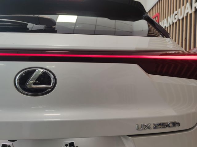 LEXUS UX 2.0 250h Business Navigation