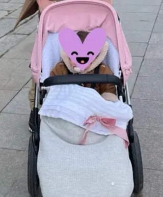 Carro Bugaboo Camaleón