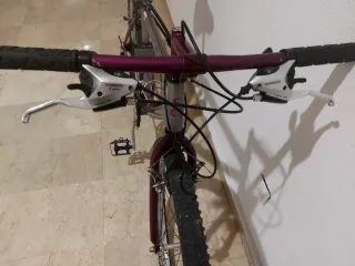 Bici Montaña Sanground