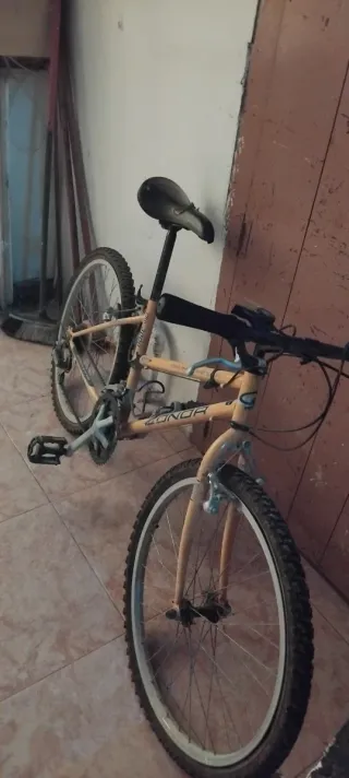 Bicicleta Montaña Olmo 3000