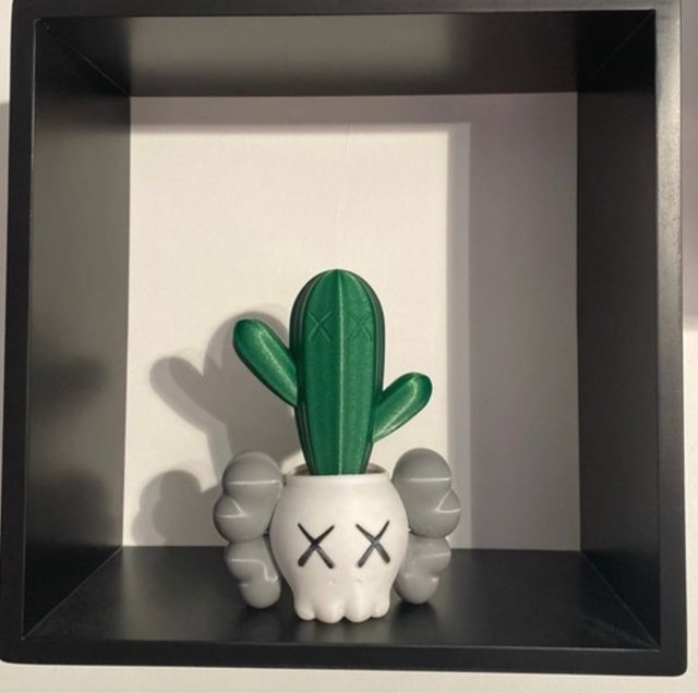 Cactus 3D