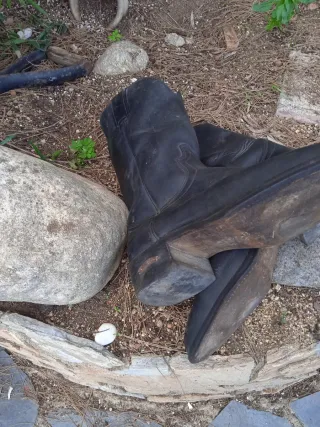 Botas Sendra Negras Talla 41