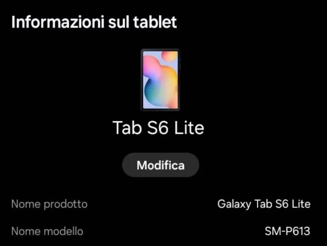 Samsung Galaxy Tab S6 Lite - Tablet