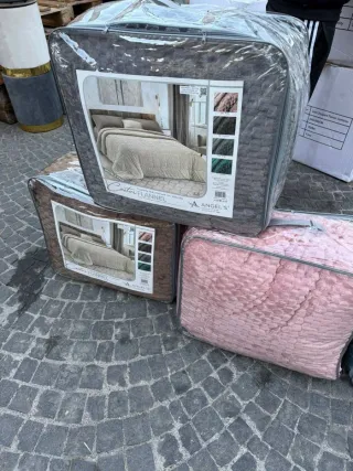 TRAPUNTA CASTOR
2 POSTI