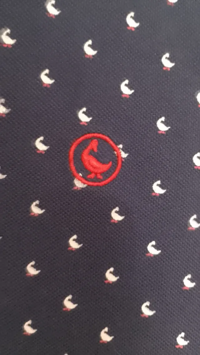 Polo El Ganso azul con estampado