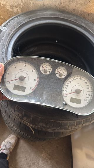 Cuadro FR León 1m