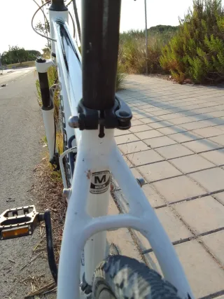 Bicicleta Cannondale Trail SL
