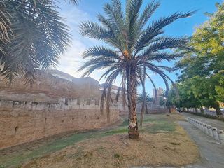 Piso en venta en San Gil en Sevilla