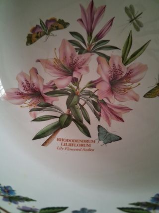 Zuppiera Portmeirion 30 cm