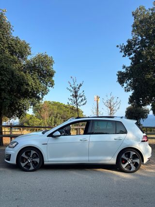 Volkswagen Golf PERFORMANCE TECHO PANO