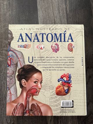 Atlas ilustrado de anatomía (Spanish Edition)