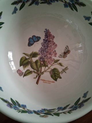 Zuppiera Portmeirion 24cm x 11cm