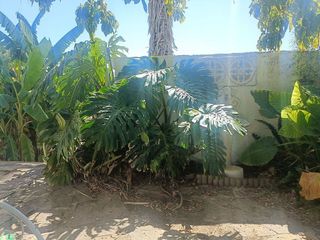 Chalet en venta en Picassent