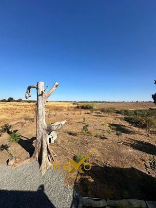 Casa rural en venta en Carmona