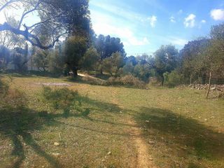 Casa rural en venta en Ronda