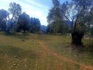 Casa rural en venta en Ronda
