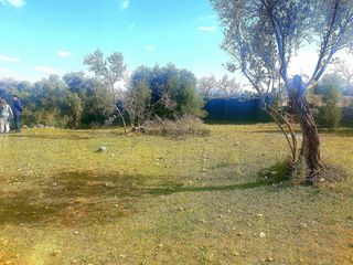 Casa rural en venta en Ronda