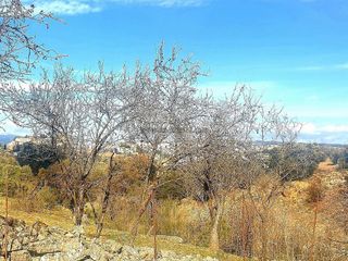 Casa rural en venta en Ronda