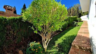 Chalet en venta en Campo de Mijas en Mijas